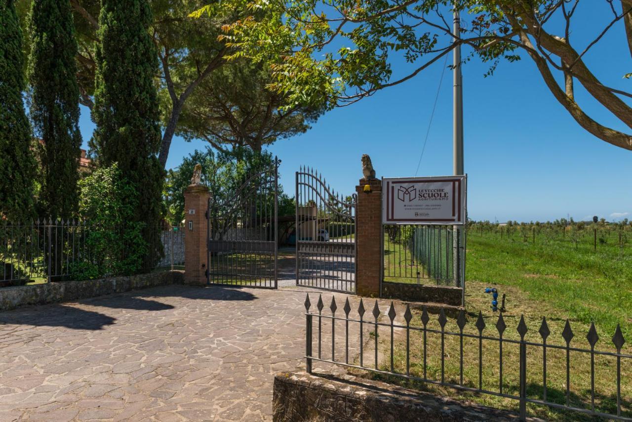 Agriturismo Le Vecchie Scuole Campiglia Marittima Exteriör bild